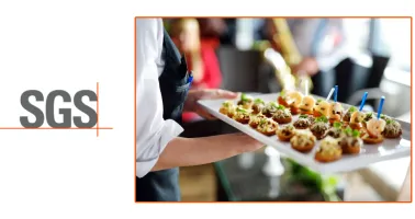 ISO 22000:2018 - Food Safety Management System - Internal Auditor eLearning Course | Tokoplas.com
