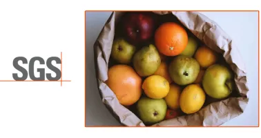 ISO 22000:2018 - Food Safety Management Systems - eLearning Bundle | Tokoplas.com