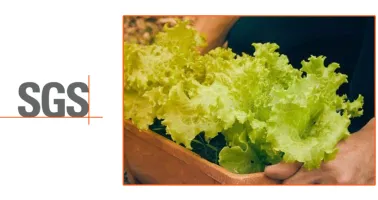 ISO 22000:2018 - Food Safety Management System - Implementation eLearning Course | Tokoplas.com