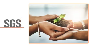 Introduction to ESG Course | Tokoplas.com