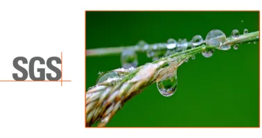 Get Started with ESG eLearning Course | Tokoplas.com