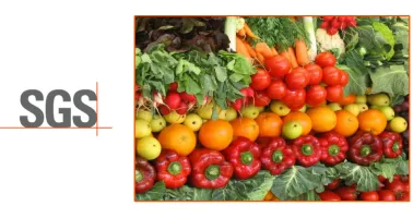 ISO 22000:2018 - Food Safety Management Systems - Introduction eLearning Course | Tokoplas.com