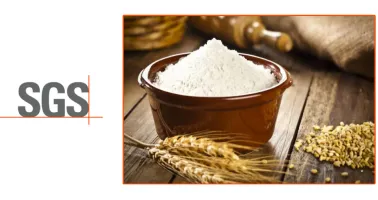FSSC 22000 V6 - Food Safety Systems Certification - Implementation eLearning Course | Tokoplas.com