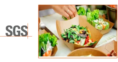 FSSC 22000 V6 & HACCP Refresher 2020 Updates - Implementation eLearning Course | Tokoplas.com