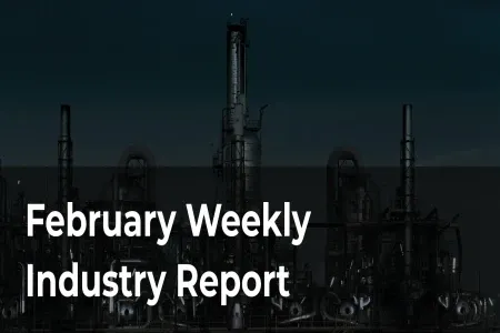 19 February 2025 Industry Report English Ver.
