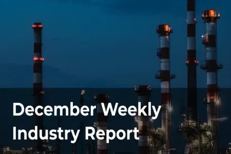 25 December 2024 Industry Report English Ver.