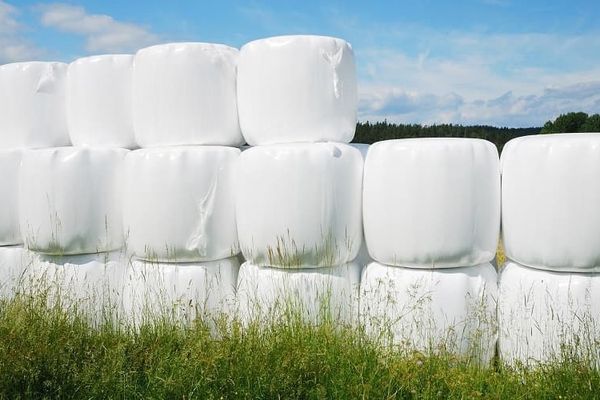 Sejarah dan Penggunaan Plastik pada Industri Pertanian